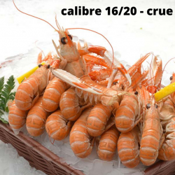 Langoustines crues calibre...