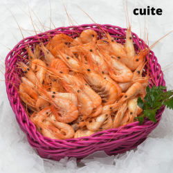 Crevettes bouquet cuites -...