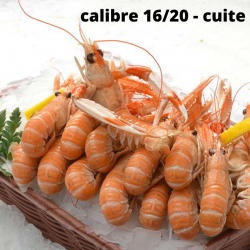 Lot de 6 Langoustines...