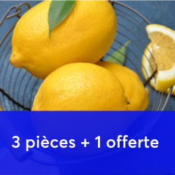 Lot de 3 citrons + 1 citron...